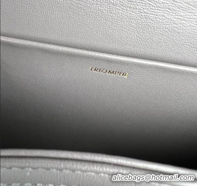Fashion Cheap Celine Classique Triomphe Bag in Shiny Calfskin 187363 Lava Grey 2025
