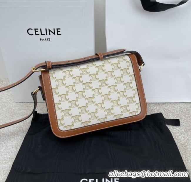 Promotional Celine Classique Triomphe Bag in Triomphe Canvas & Calfskin 187363 White 2025