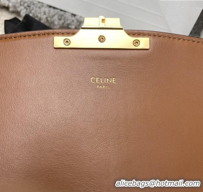 Classic Specials Celine Classique Triomphe Bag in Triomphe Embroidery Canvas & Calfskin 187363 Brown/Red 2025