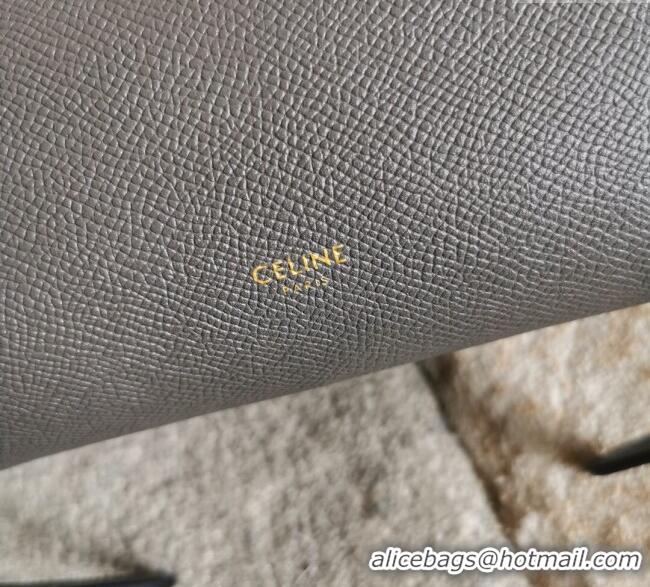 Inexpensive Celine Belt Pico Nano Bag in Grained Leather 189003 Grey 2025