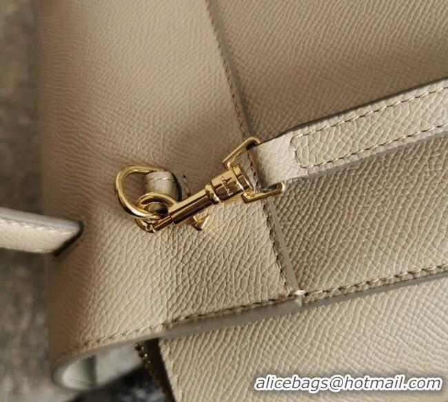Best Product Celine Belt Pico Nano Bag in Grained Leather 189003 Beige 2025