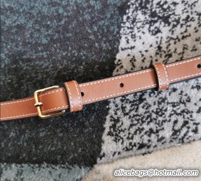 Grade Design Celine Small Cuir Triomphe Bucket Bag in Calfskin Leather 198243 Brown 2025