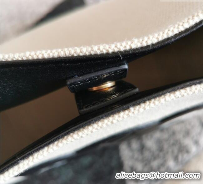 Promotional Celine Small Bucket Cuir Triomphe Bag in Textile and Calfskin 198242 White/Black 2025