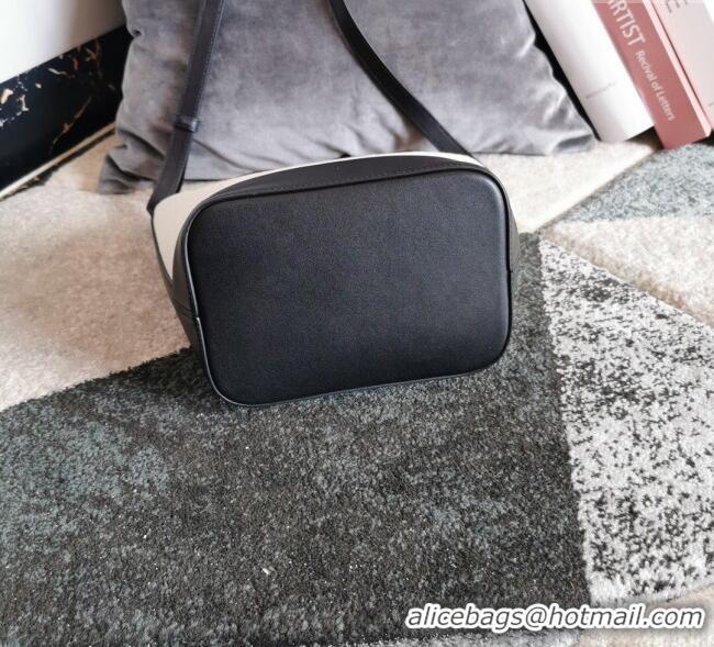 Promotional Celine Small Bucket Cuir Triomphe Bag in Textile and Calfskin 198242 White/Black 2025