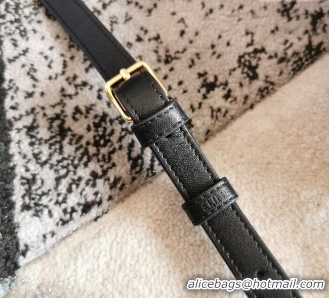 Promotional Celine Small Bucket Cuir Triomphe Bag in Textile and Calfskin 198242 White/Black 2025