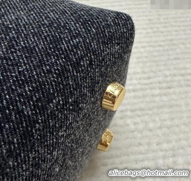 Best Quality Celine Teen Nino Bag in Triomphe Denim 118112 Black 2025