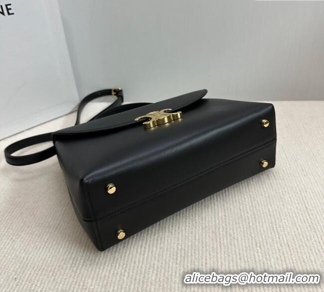 Top Grade Celine Medium Nino Top Handle bag in Smooth Calfskin 117523 Black 2025