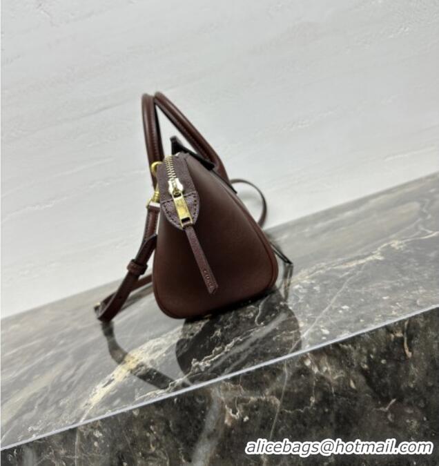 Market Sells Celine Small New Luggage in Supple Shiny Lambskin 124213 2025