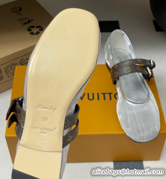 Pretty Style Louis Vuitton Ballet Ballerinas Flat in Mesh and Buckle Strap 1AIS37 Silver 1022088