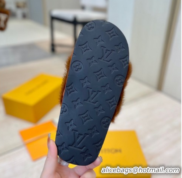 Unique Style Louis Vuitton Mink Fur and Wool Flat Slides Sandal Brown 2025 LV102207 1022132