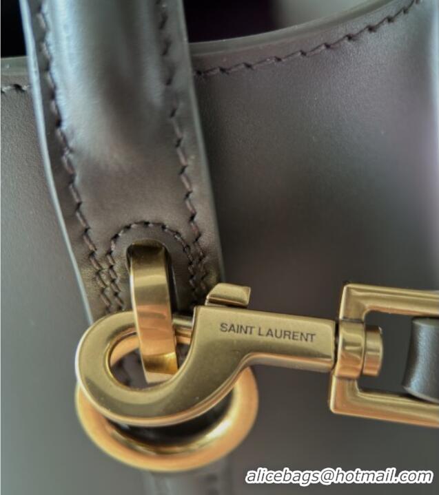 Buy Discount Saint Laurent LE 37 Mini Bucket Bag in Shiny Calfskin 765870 Light Musk 2025 Top Quality