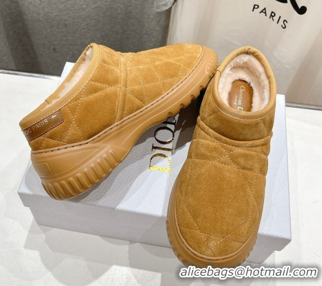 Durable Dior Frost Low Ankle Boots in Cannage Suede and Wool Camel 1029007