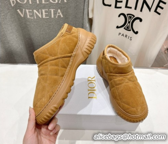 Durable Dior Frost Low Ankle Boots in Cannage Suede and Wool Camel 1029007