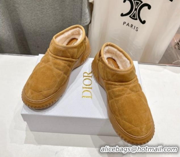 Durable Dior Frost Low Ankle Boots in Cannage Suede and Wool Camel 1029007