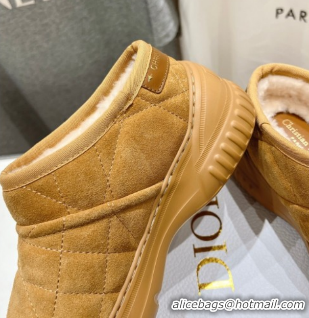 Durable Dior Frost Low Ankle Boots in Cannage Suede and Wool Camel 1029007