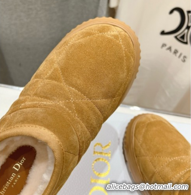 Durable Dior Frost Low Ankle Boots in Cannage Suede and Wool Camel 1029007