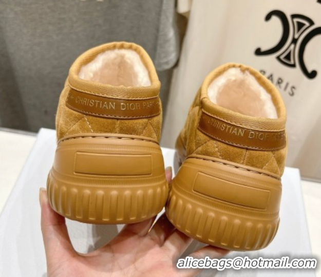 Durable Dior Frost Low Ankle Boots in Cannage Suede and Wool Camel 1029007