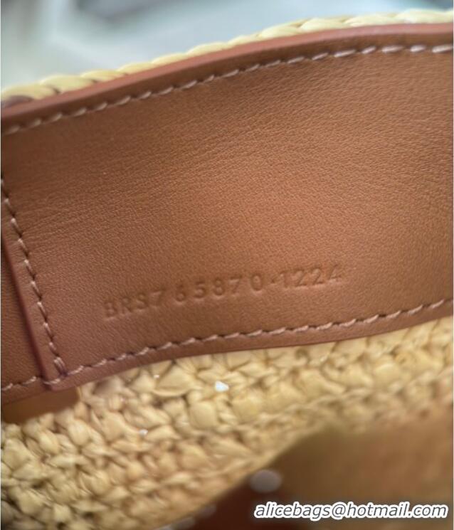 Famous Brand Saint Laurent LE 37 Mini Bucket Bag in Raffia 765870 Beige 2025 Top Quality