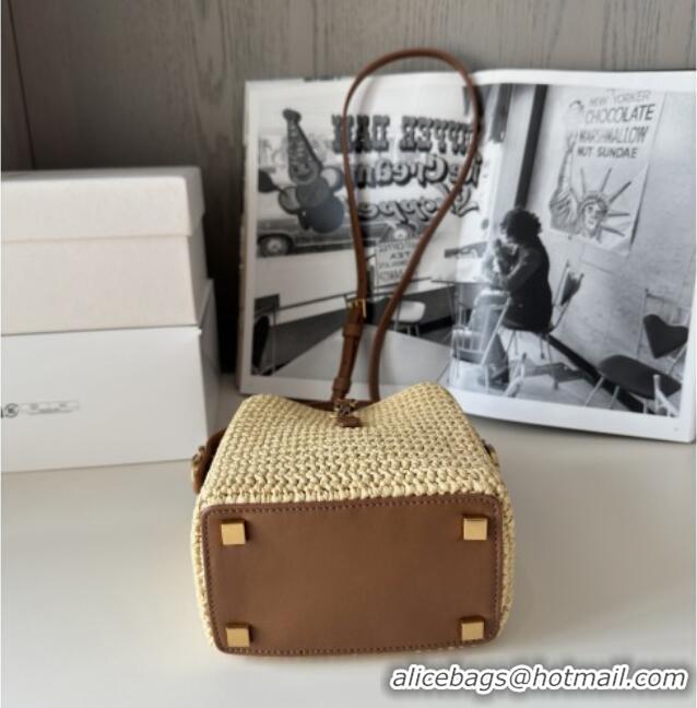 Famous Brand Saint Laurent LE 37 Mini Bucket Bag in Raffia 765870 Beige 2025 Top Quality