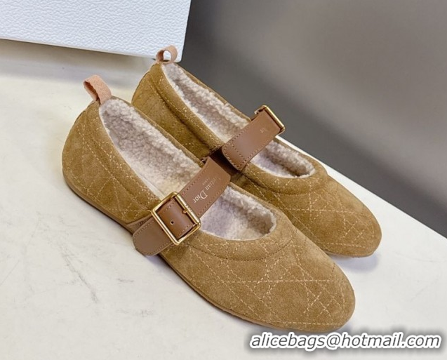 Shop Cheap Dior DiorAlps Dior Frost Ballet Flats in Cannage Suede Camel DR121601 1216092