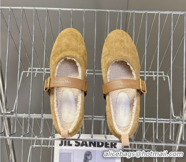 Shop Cheap Dior DiorAlps Dior Frost Ballet Flats in Cannage Suede Camel DR121601 1216092