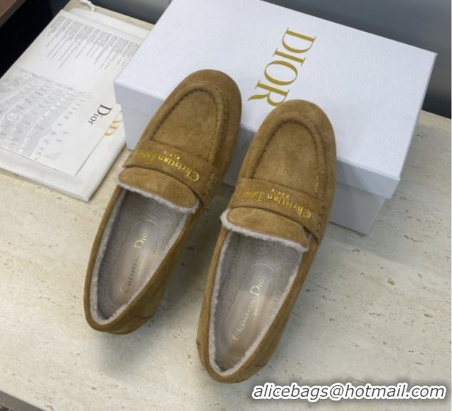 Classic Hot Dior DiorAlps Boy Flat Loafers in Suede and Shearling Camel DR121603 1216099