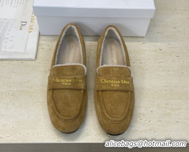 Classic Hot Dior DiorAlps Boy Flat Loafers in Suede and Shearling Camel DR121603 1216099