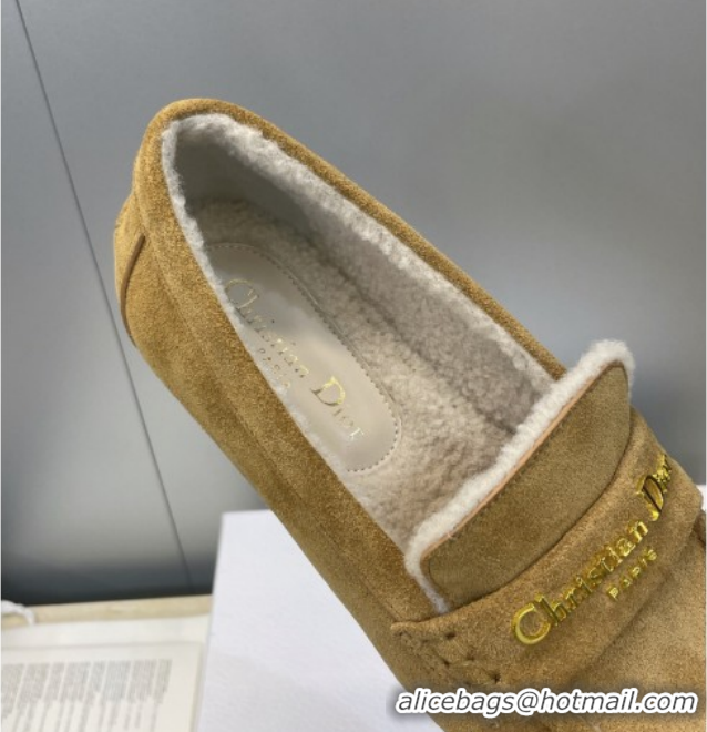 Classic Hot Dior DiorAlps Boy Flat Loafers in Suede and Shearling Camel DR121603 1216099