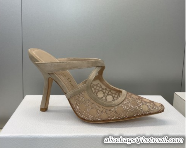 Shop Cheap Dior Capture Heeled Mules 9.5cm in Mesh with Strass Cannage Motif Beige DR121606 1216115