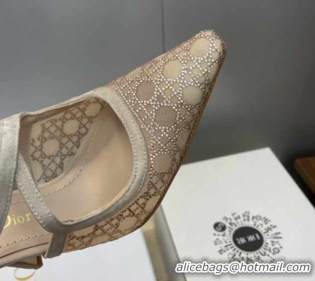Shop Cheap Dior Capture Heeled Mules 9.5cm in Mesh with Strass Cannage Motif Beige DR121606 1216115