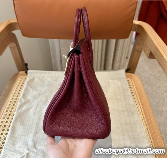 Famous Brand Hermes Birkin 25 Bag in Togo Calfskin Leather H25 Bordeaux/Gold 2025 (Half Handmade)