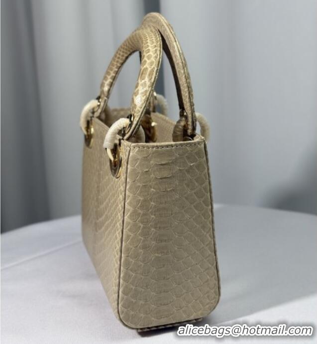 Top Grade Dior Mini Lady Dior Bag in Python Leather D123009 Apricot 2025