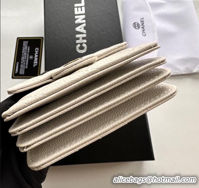 Good Taste Chanel Chain Belt with Pouch in Grainy Leather 2016025 Beige/Gold 2025