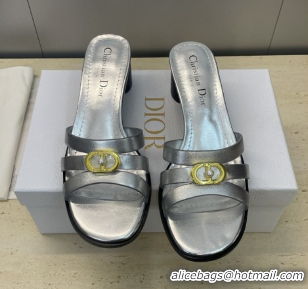 Good Quality Dior 30M Heeled Slides Sandal 5cm in Calfskin Leather with CD Pearl Silver 1217022