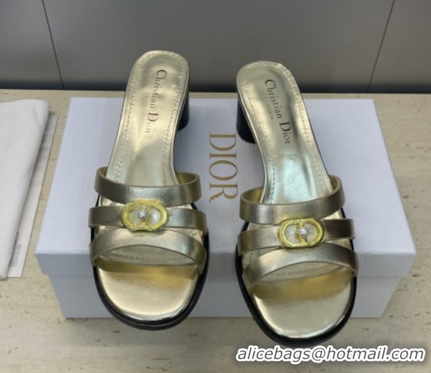 Hot Style Dior 30M Heeled Slides Sandal 5cm in Calfskin Leather with CD Pearl Gold 1217024
