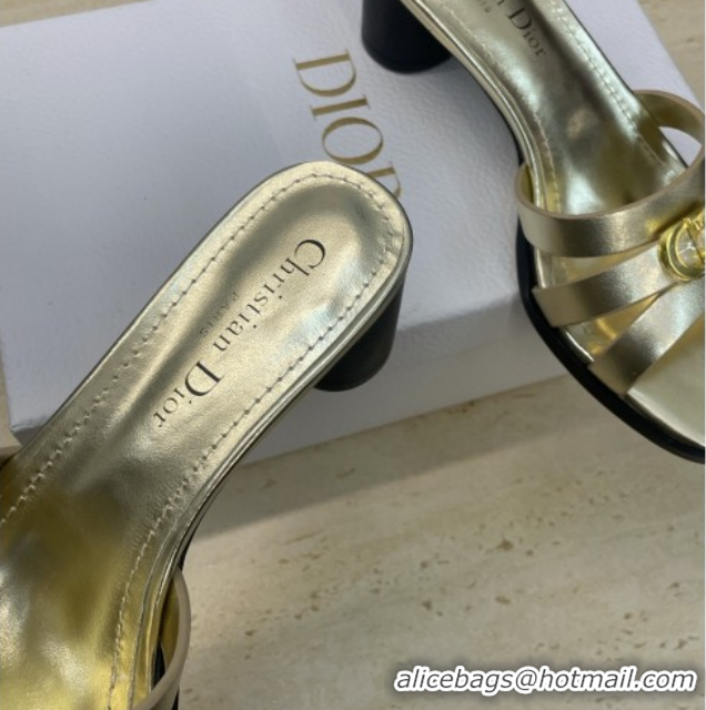 Hot Style Dior 30M Heeled Slides Sandal 5cm in Calfskin Leather with CD Pearl Gold 1217024