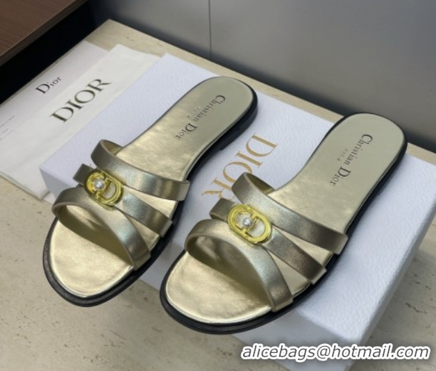 Good Looking Dior 30M Flat Slides Sandal in Calfskin Leather with CD Pearl Gold 1217027