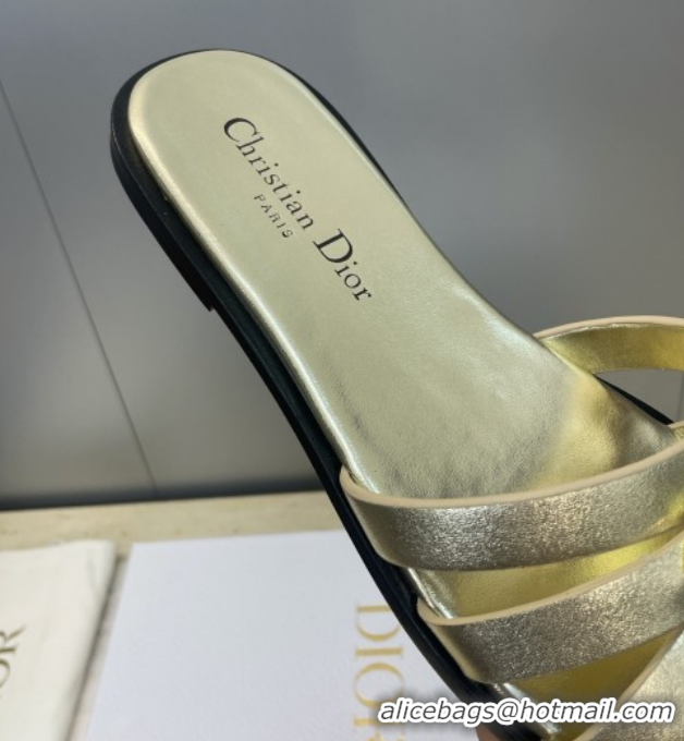 Good Looking Dior 30M Flat Slides Sandal in Calfskin Leather with CD Pearl Gold 1217027