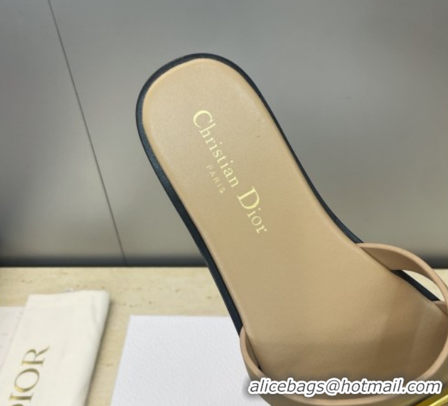 Luxury Dior 30M Flat Slides Sandal in Calfskin Leather with CD Pearl Beige 1217031