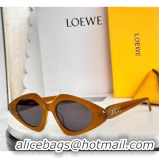 Lower Price Loewe Sunglasses LW40185I Brown/Grey 2025