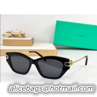 Famous Brand Tiffany & Co Sunglasses TF4231U 2025