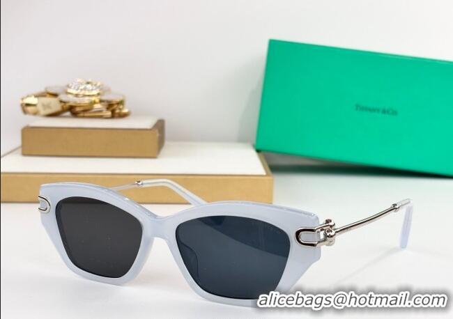 Good Product Tiffany & Co Sunglasses TF4231U 2025