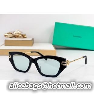 Big Discount Tiffany & Co Sunglasses TF4231U 2025