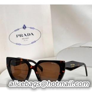 Best Product Prada Sunglasses SPR15W Brown 2025