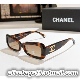 Grade Design Chanel Sunglasses CH9184 Brown 2025