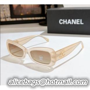 Reasonable Price Chanel Sunglasses CH9184 Nude 2025