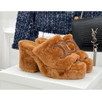 Perfect Celine Triomphe Wool Platform Slides Sandal 8cm Brown 2025 7027801