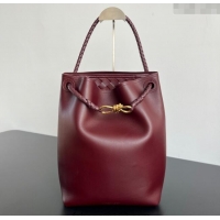 Best Price Bottega Veneta Andiamo Bucket Bag in Calf Leather 844169 Barolo Red 2025