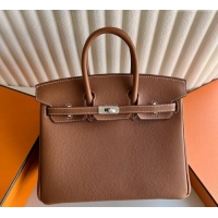 Original Discount Hermes Birkin 25cm Bag in Togo Calfskin Leather HE25 Brown/Silver 2025 (Full Handmade)