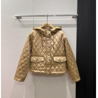 Famous Brand Burberry Cropped Quilted Nylon Hooded Jacket B112708 Brown 2025